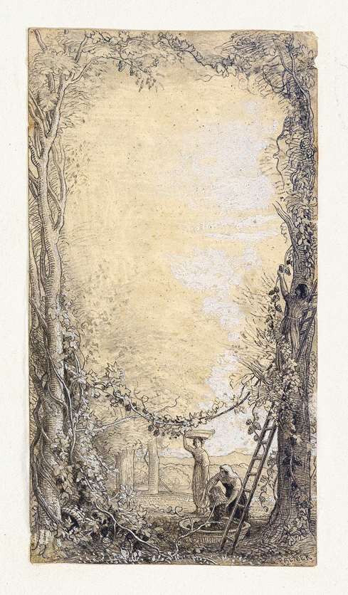 The Vintage: An Illustration for Charles Dickens's Pictures from Italy